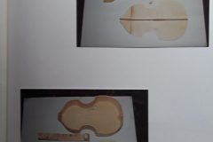 20200801_172726-scaled