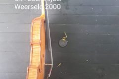 20200531_111051-scaled